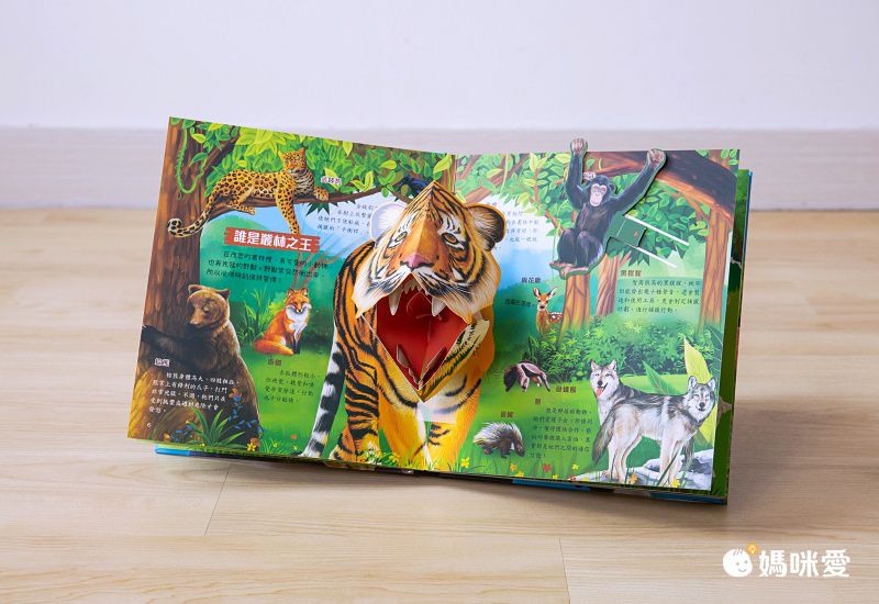 3D立體有聲書-動物星球