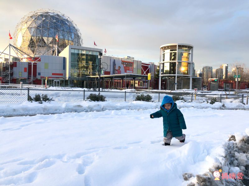 開團以來最下殺！【美國 mifold】最小隨身安全汽車座椅！