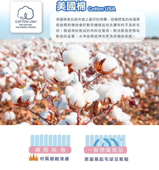 鴻宇 HongYew - Hello Kitty美國棉兒童防螨抗菌枕套-Honey小熊-灰色-55x44cm