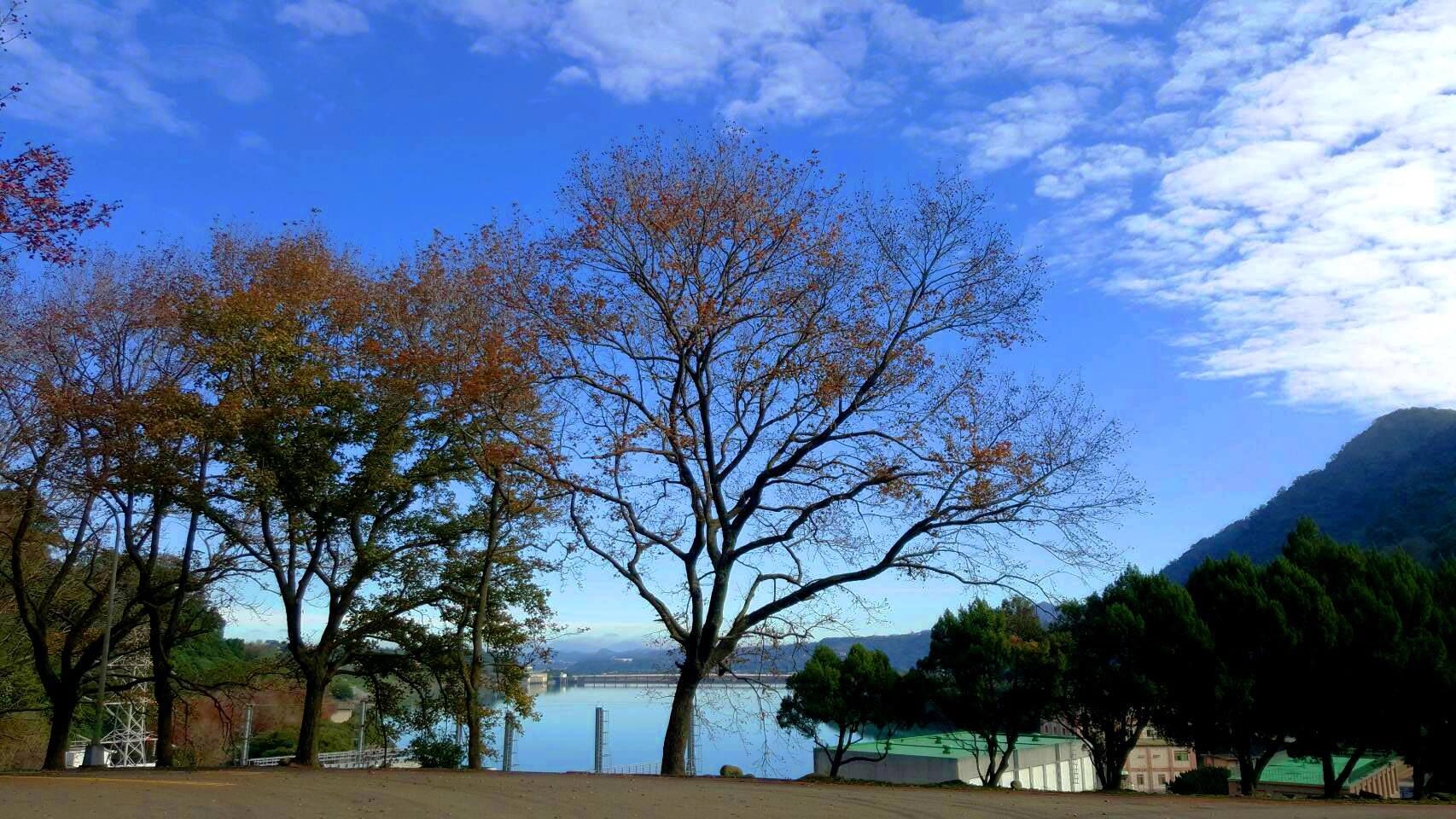 極少量出清價↘最美【石門水庫福華渡假飯店】一泊一食
