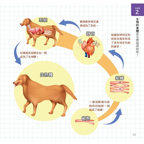 生物大發現-這樣學就懂了！從細胞到生態圈