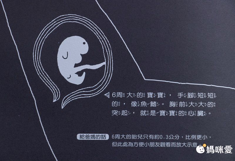 康軒文教事業 - 嘎嘎的光照書-2本一套