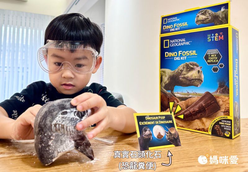 NATIONAL GEOGRAPHIC - 國家地理頻道 恐龍化石挖掘套組