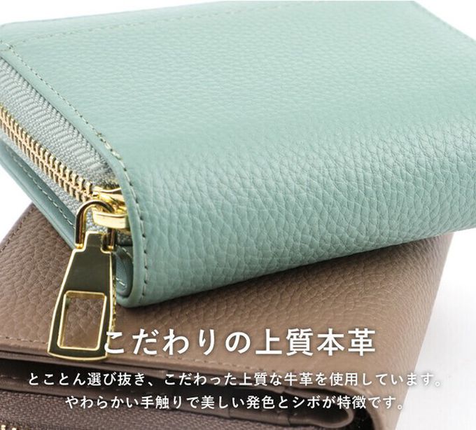 日本 LIZDAYS - 真皮16格摺疊短夾/零錢包-深棕 (11x9.5x3.5cm)