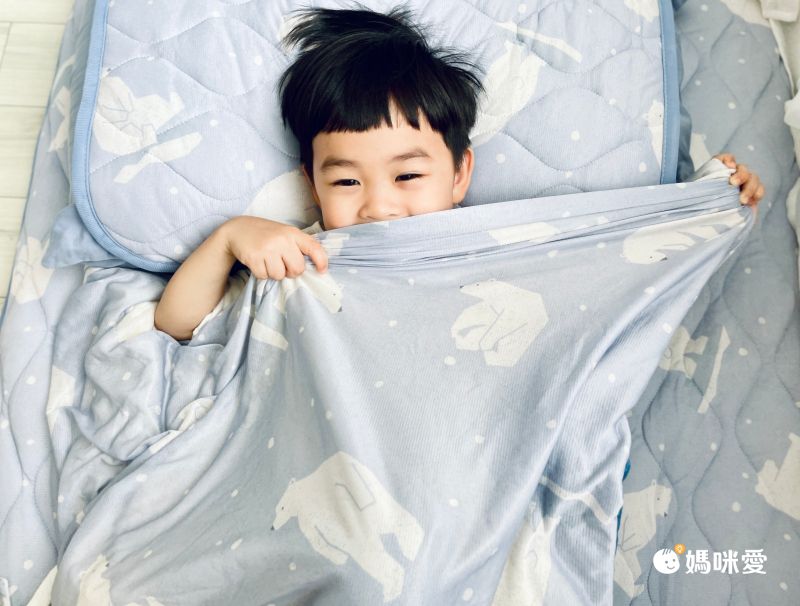 日本小泉 - 節電對策冷感薄毯-北歐花草-薄荷 (100x140cm)