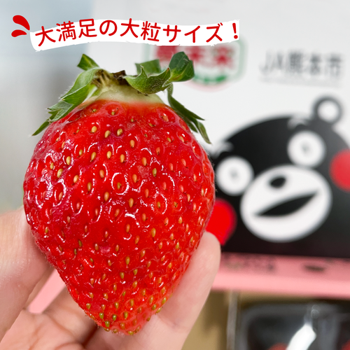 冬季限定！日本「秀」級高品質草莓，限量新鮮空運直送到府！