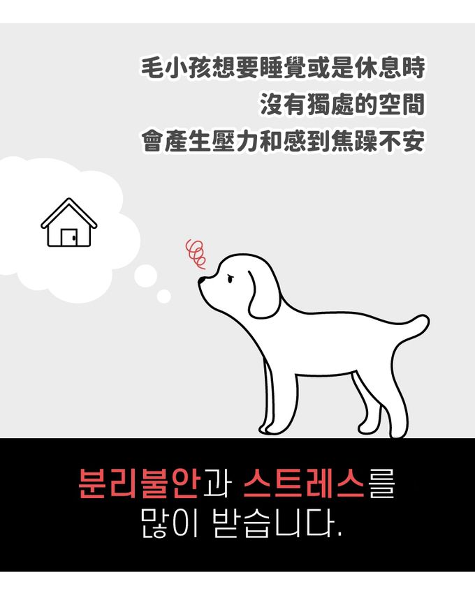 韓國Ritoto - 三角屋型寵物睡窩-M中款-經典淺粉白