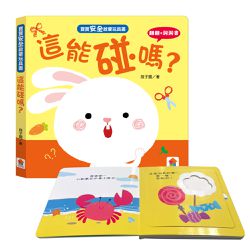 寶寶安全啟蒙玩具書：這能碰嗎？（翻翻+洞洞書）