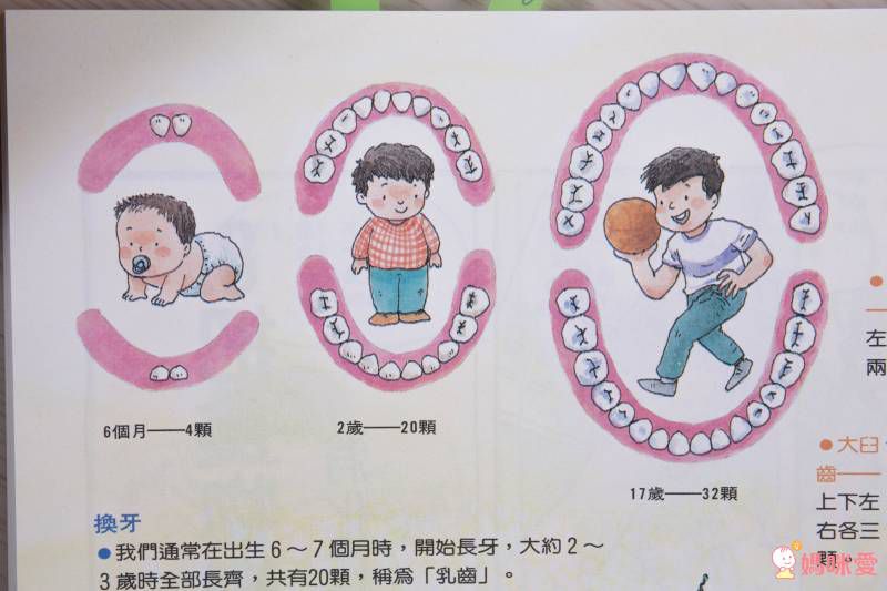 東方套書開箱☆經典必收☞ 福爾摩斯、世界經典文學、科學小百科