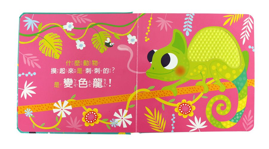 動物大驚奇-觸摸認知書