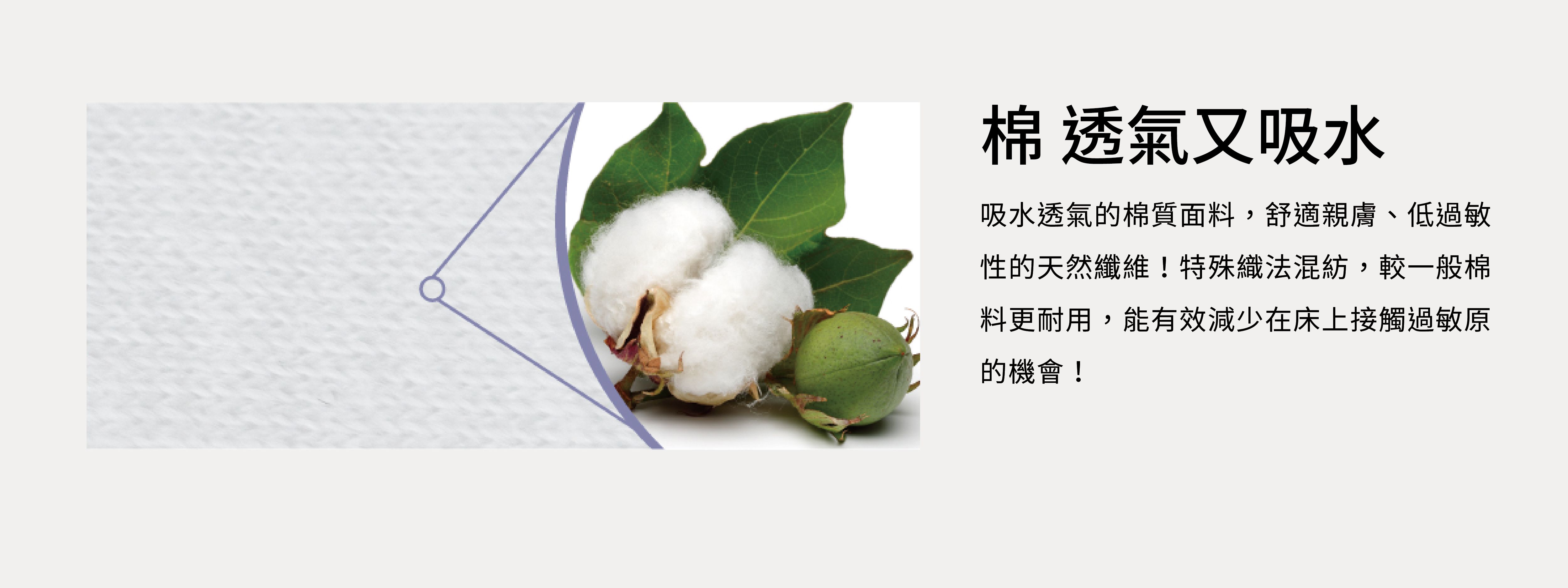 美國寢之堡 - Cotton柔棉全密封枕頭套 2 入-白-40*25cm