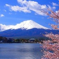 用戶頭像