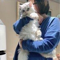 用戶頭像
