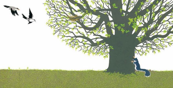 青林國際出版 - 樹木之歌