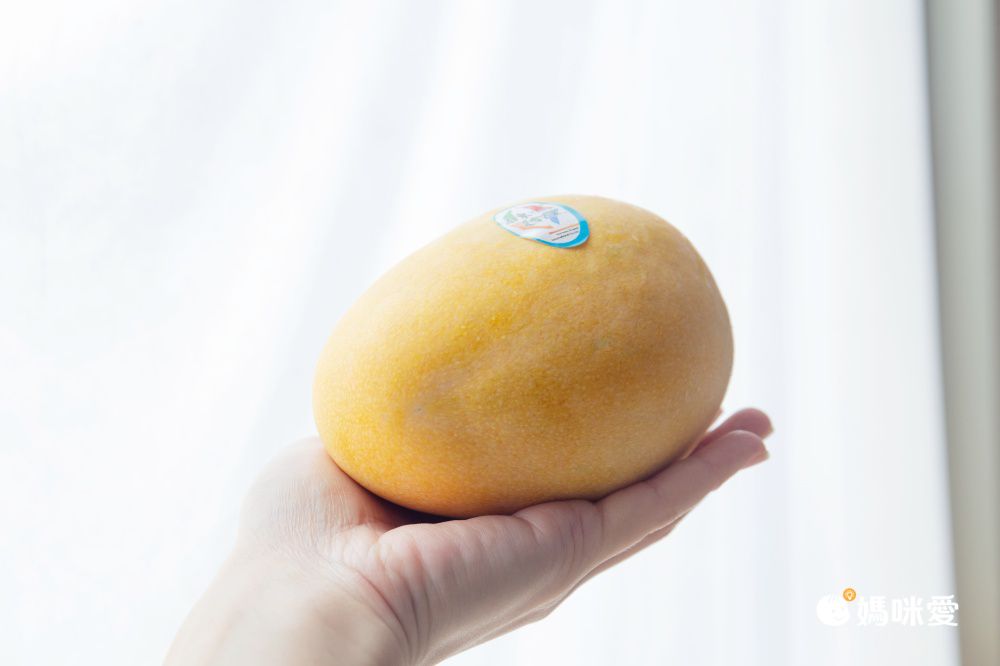 【台東 夏雪芒果】精品外銷等級，芒果界的LV！