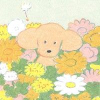 用戶頭像