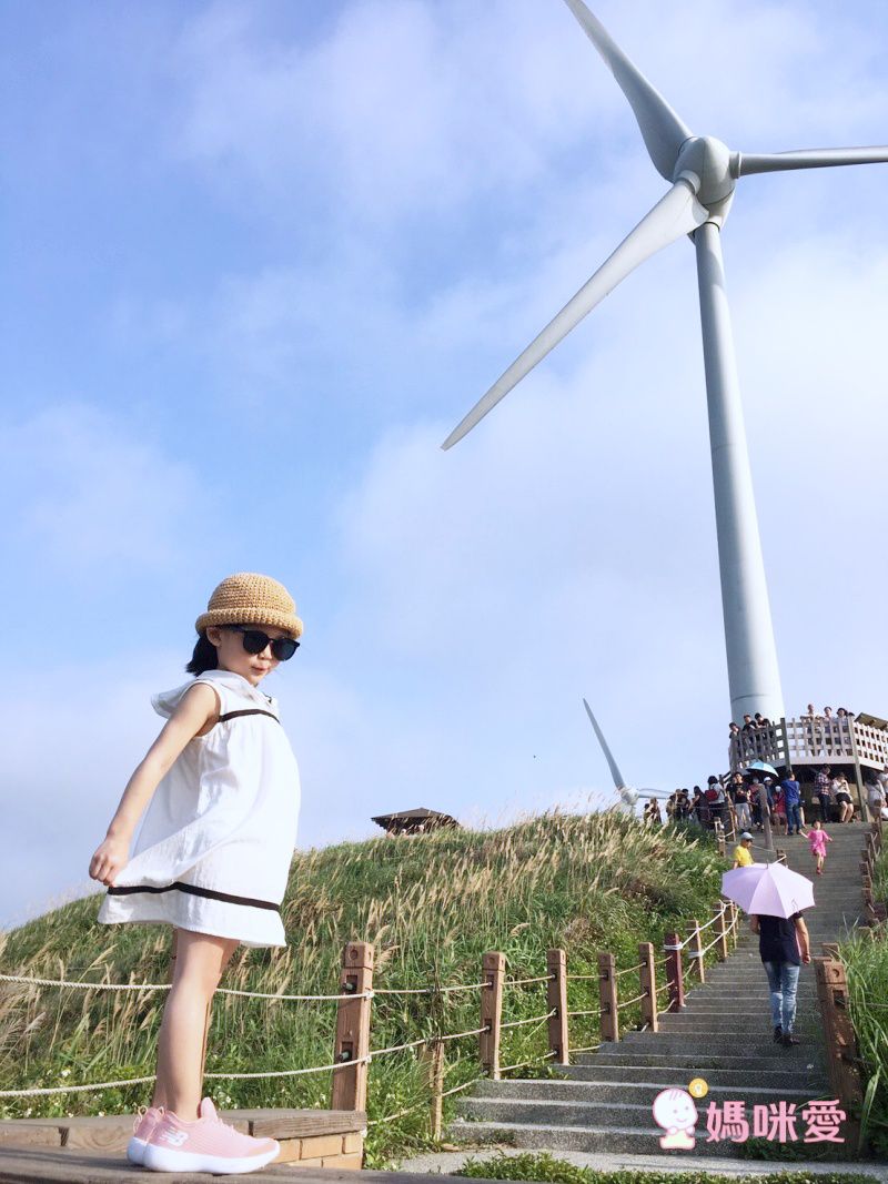 ❀夏日森林系 TOUNGIEE 簡約洋裝❀ ＣＰ值超高！