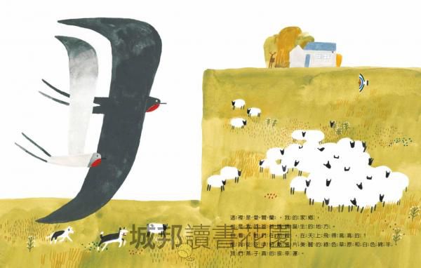 燕子遷徙日記：一段飛越地球的旅程