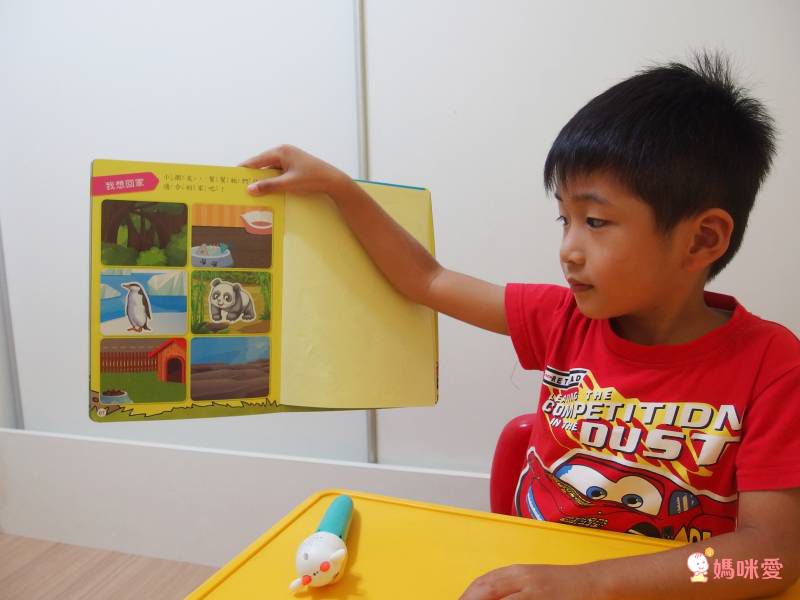 全腦開發點讀大寶盒-48件組升級版 (40.5*20.8*9.5cm)