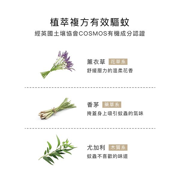 Simba 小獅王辛巴 - 長效薰衣草精油防蚊貼-恐龍圖鑑(16枚)