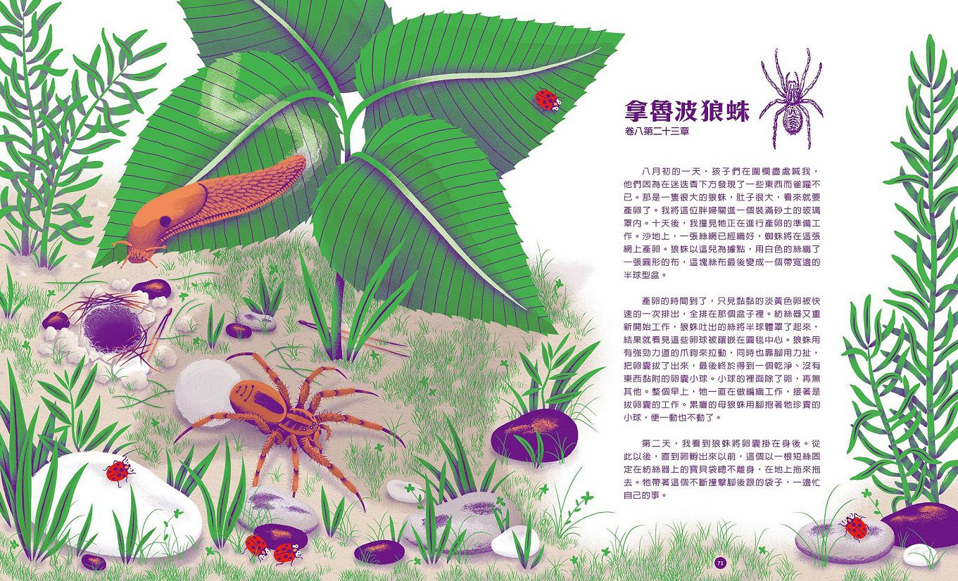 法布爾的微觀世界：昆蟲觀察X科學實驗X自然書寫