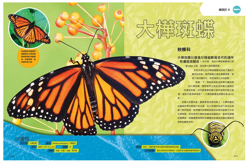 國家地理終極昆蟲百科 (精裝 /272頁 /全彩印刷)