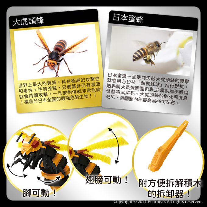 日本 Silverback - 可動擬真積木-大虎頭蜂精裝套組