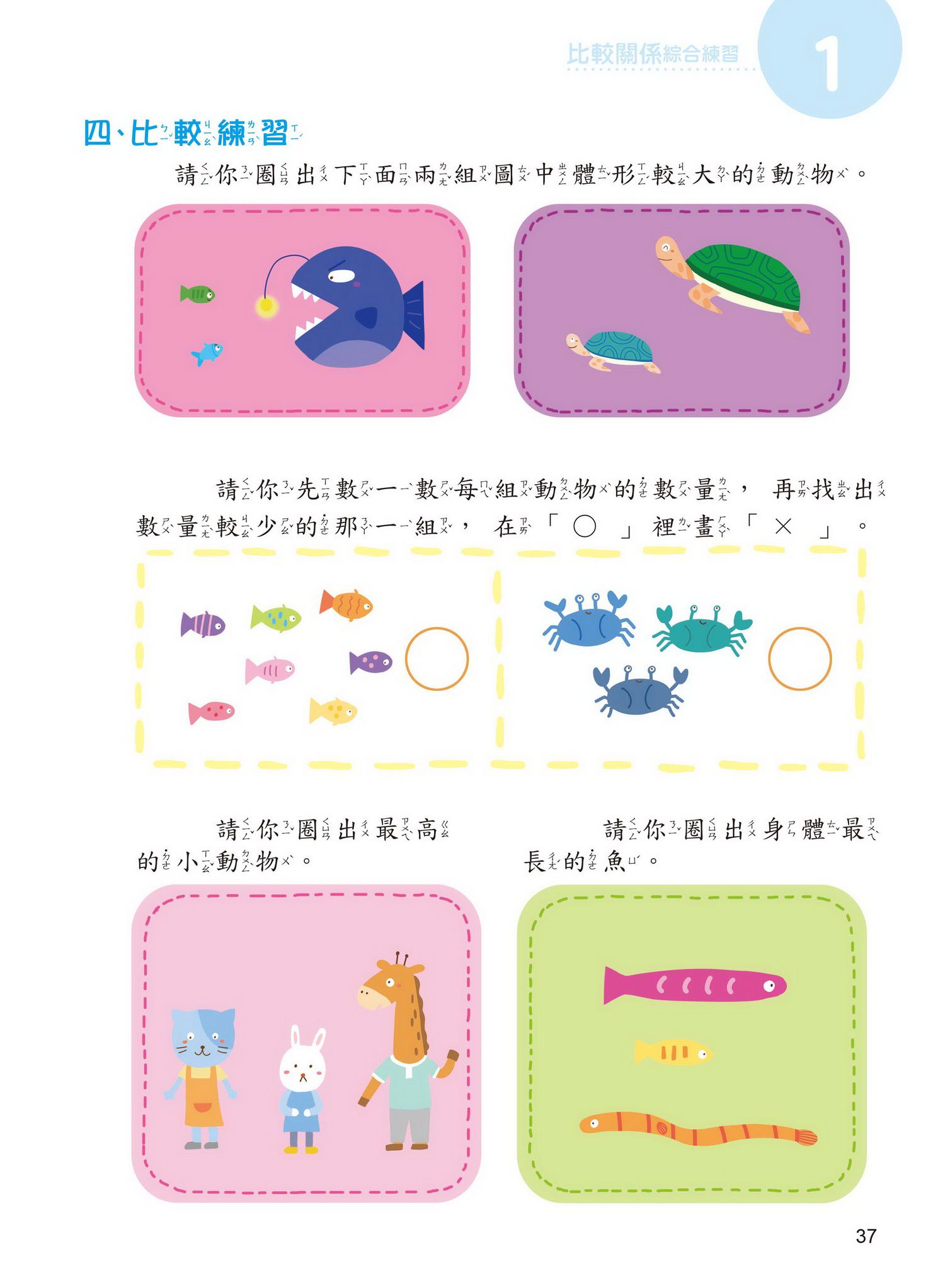 學前數學基礎概念  比較關係+分類概念