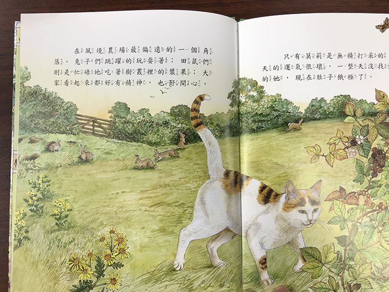 風境農場動物繪本-精裝6冊、故事點讀面板、導讀手冊-精美書架式書盒