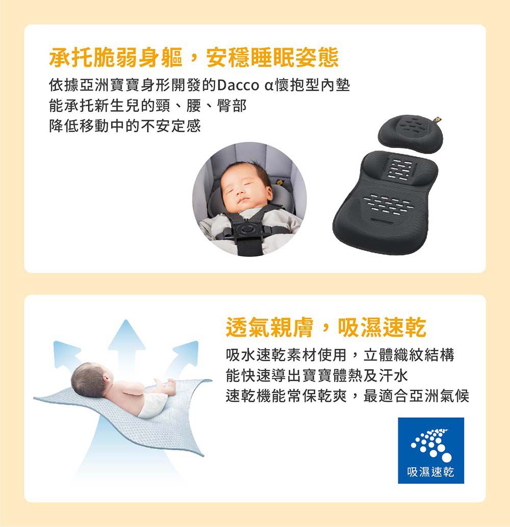 日本 Combi - Neyo Compact-千草藍