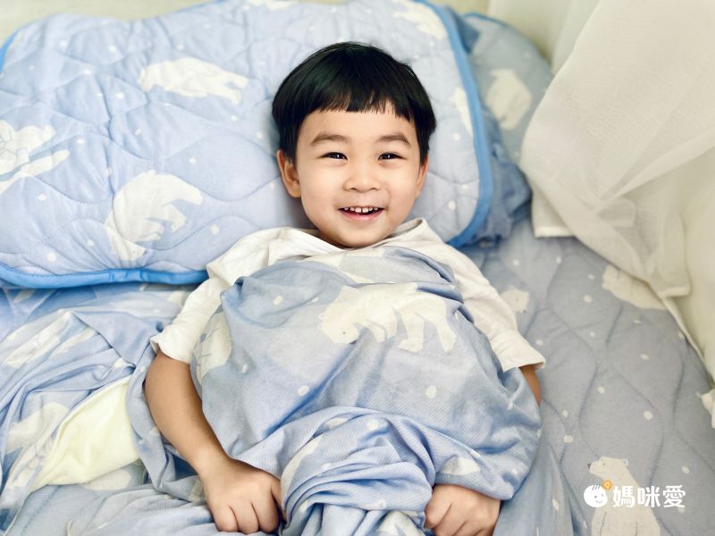 日本小泉 - 節電對策冷感薄毯-北歐花草-薄荷 (100x140cm)