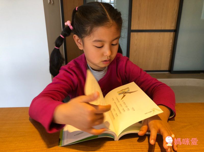 神奇樹屋中英雙語套書 1-55集-大全套