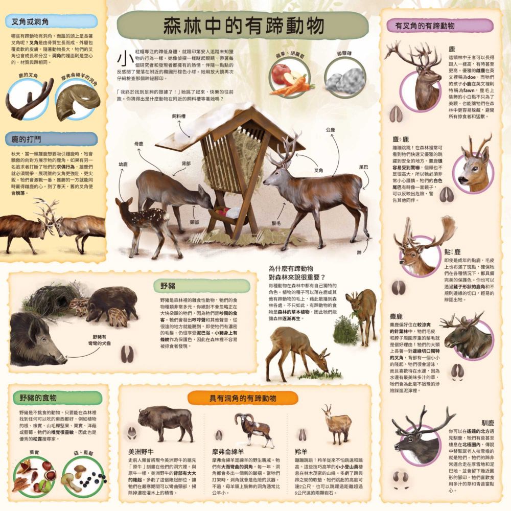 童話知識小百科翻翻書1跟著小紅帽認識森林動物