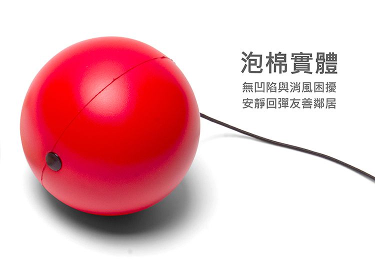 荷蘭BS - 門掛式健力球