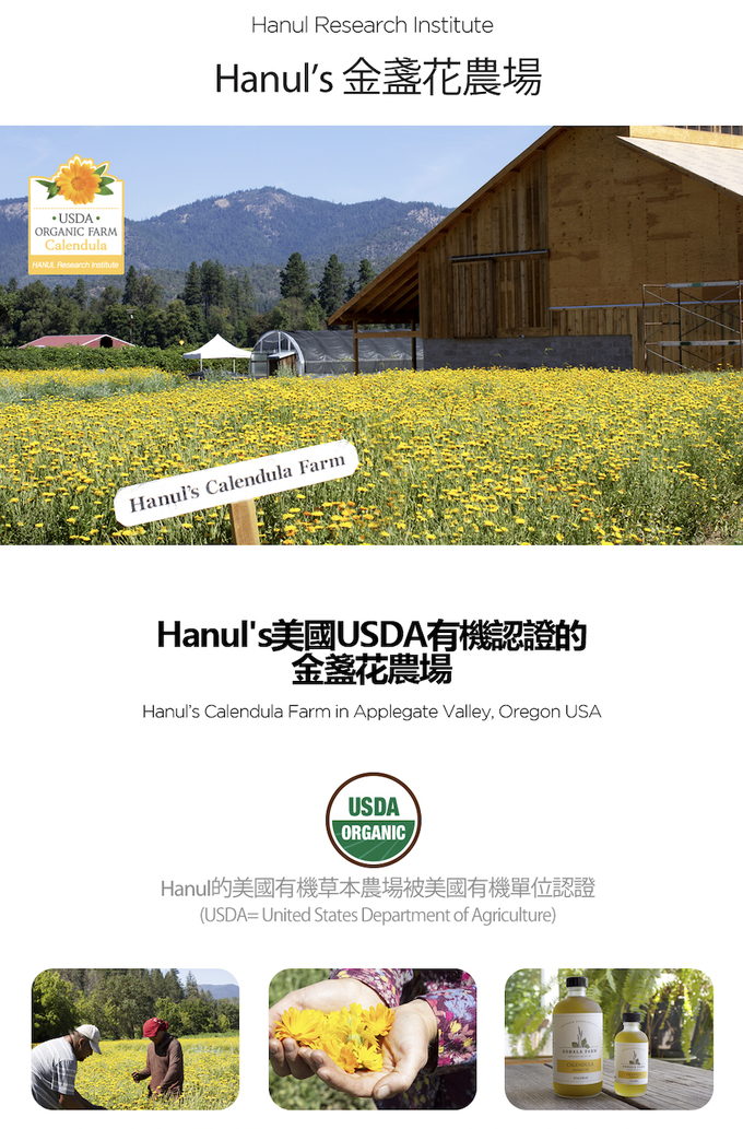 韓國RICO baby - 金盞花有機天然超厚款濕紙巾(Premium-70抽)－12入