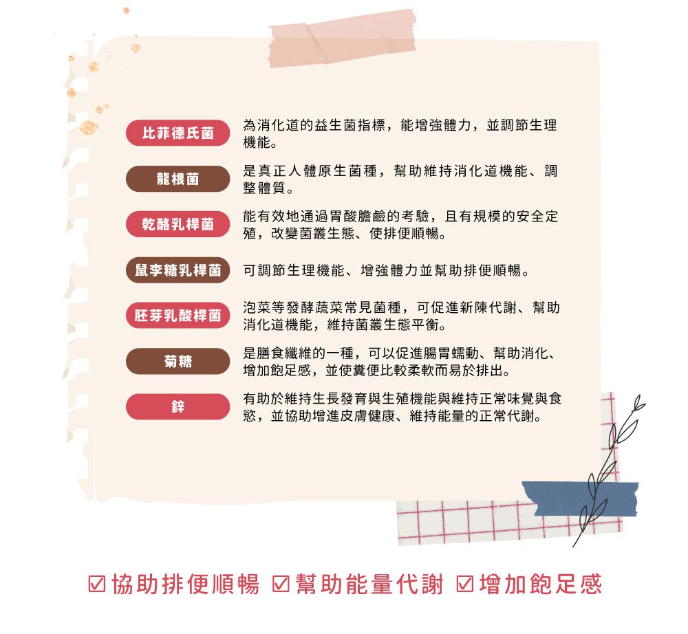 ２M 以上就能吃！德國最暢銷益生菌【Lactobact®萊德寶】