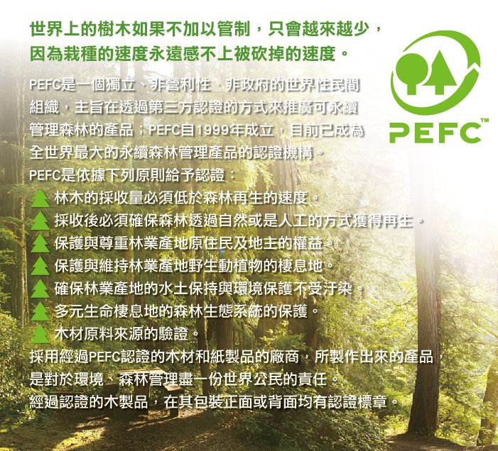 義大利GIOTTO - BEBE 可洗式寶寶木質蠟筆(6色)