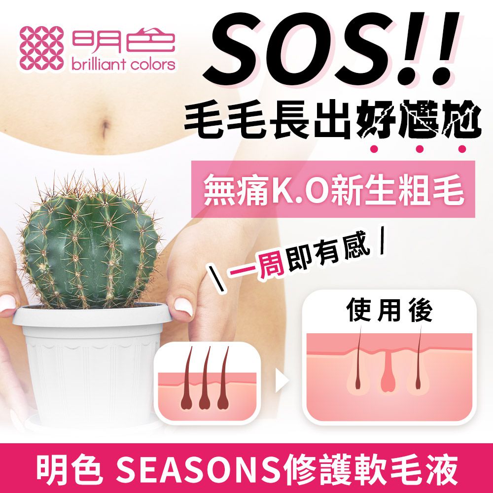 明色 SEASONS 修護軟毛液-200ml