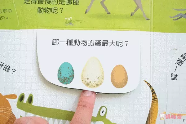 翻翻書大集合！【禾流文創 ✖ 閣林文創】