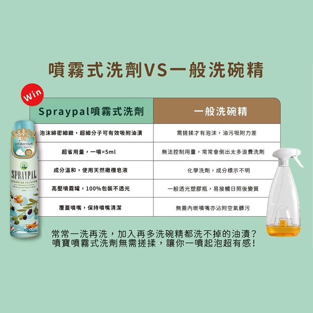 氣炸鍋專用清潔噴霧-250ML