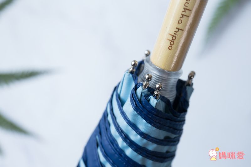 日本 kukka hippo - 兒童單片透明直傘-恐龍世界