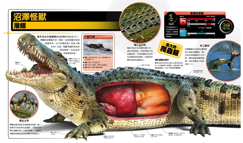 超能力動物百科：100種地球上最大、最快、最致命的動物 (精裝 / 256頁  /全彩印刷)