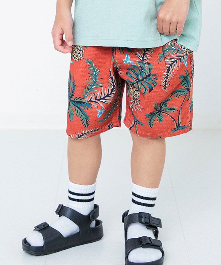 日本 BREEZE - 100%棉定番印花短褲-變形蟲-綠