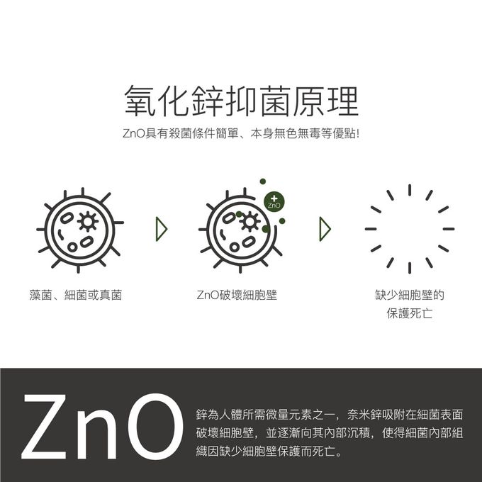 貝柔 Peilou - Supima抗菌萊卡除臭襪-船型襪(女-6雙組)-白色 (24-26cm)