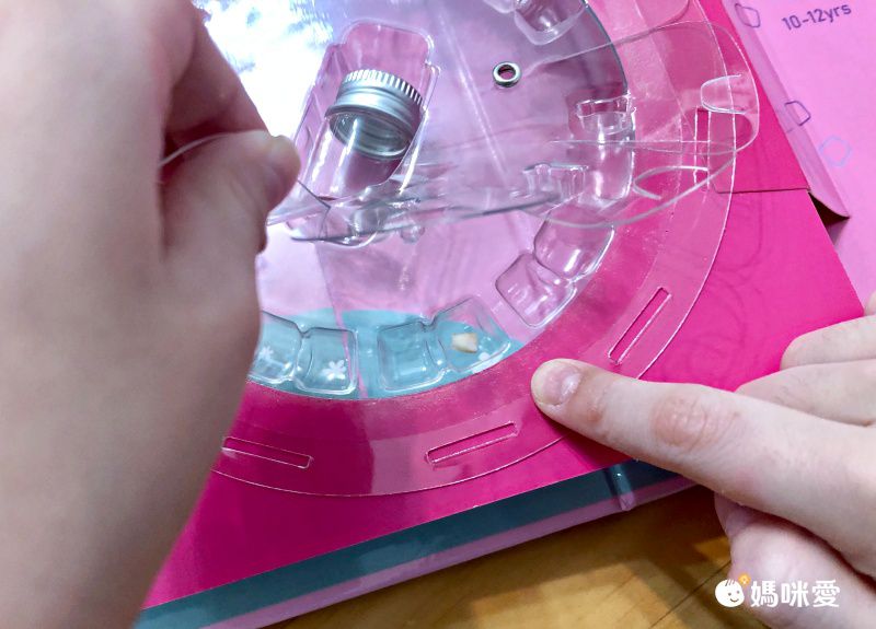 MangoBanana - 乳牙收藏盒-大象泡泡 (17.6 x 17.6 x 4 cm)-英文版