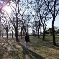 用戶頭像