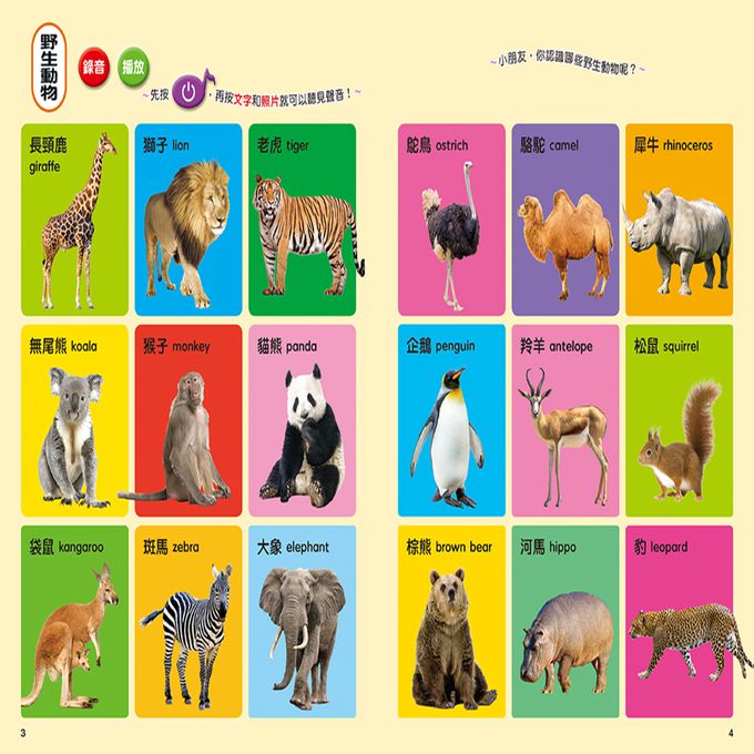 用手指點一點會說話有聲書：寶寶認知圖鑑(點點書7)