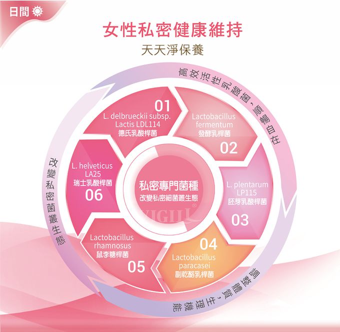 婦潔 VIGILL - 蔓越莓私密益生菌日夜雙護-(20粒+20粒)/盒 (單入)-(20粒+20粒)/盒