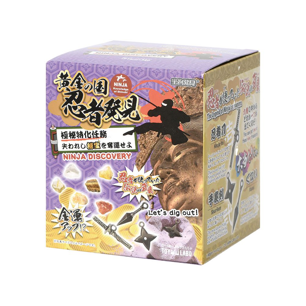 發現忍者趣味磚-4入組(隨機出貨)