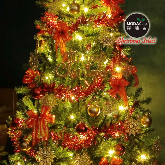 MODACore 摩達客 - 8尺/8呎(240cm)特仕幸福型裝飾綠色聖誕樹 綺紅金雪系配件+100燈LED燈暖白光*2(附控制器）